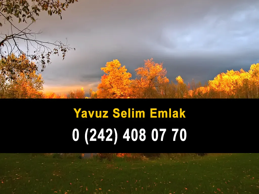 Yavuz Selim Emlak